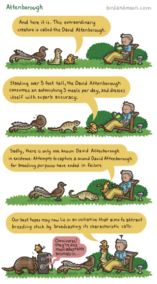 Illustration for article titled What if David Attenborough were the subject of a nature documentary?